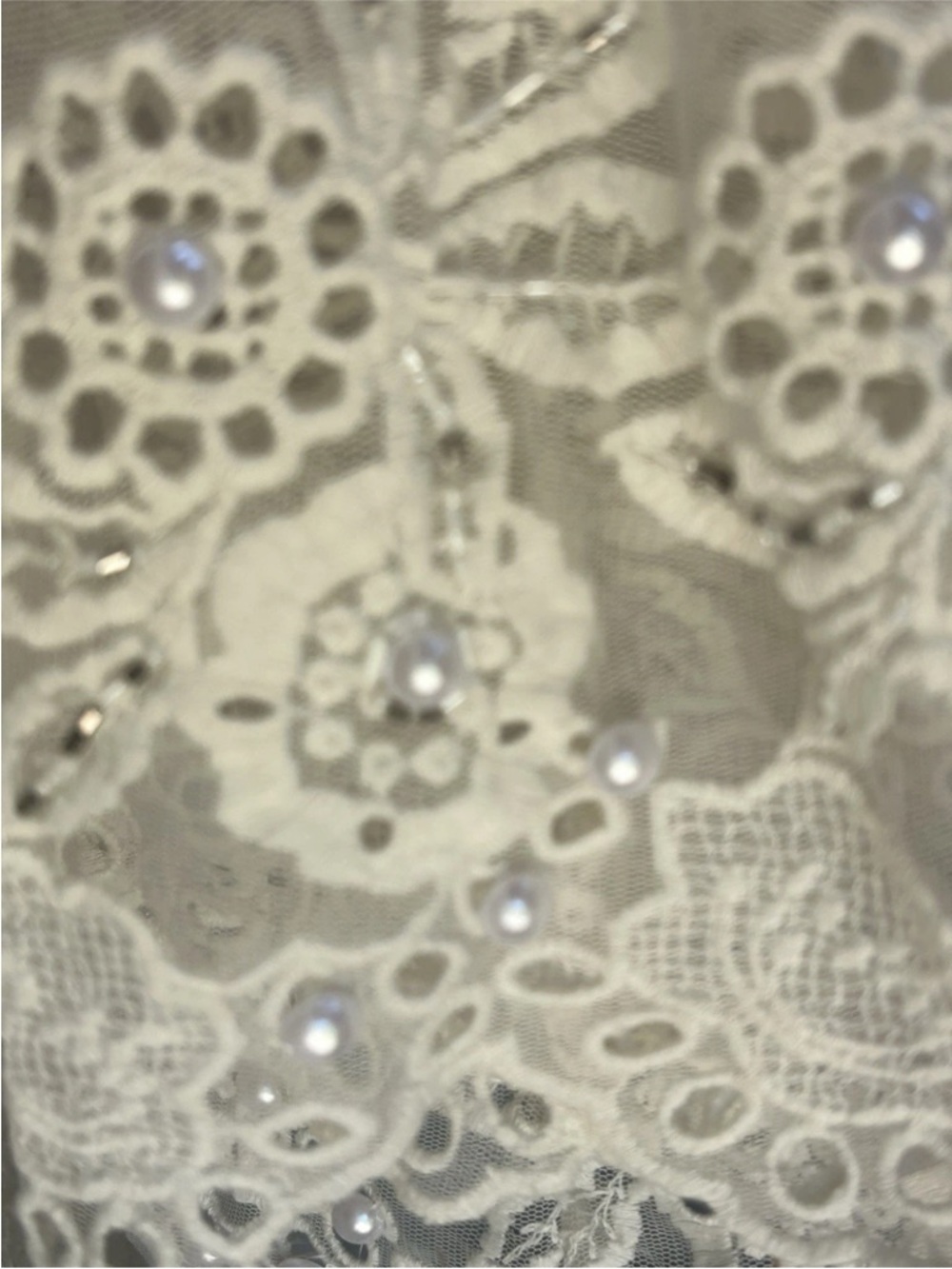 Roaman's Embellished Mesh Overlay Tunic Top 22W Ivory Crochet Lace Pearl NEW - Picture 4 of 12
